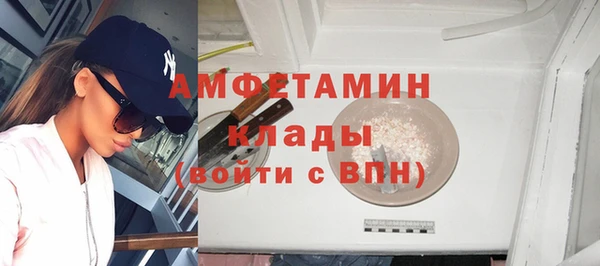 гидра Абаза