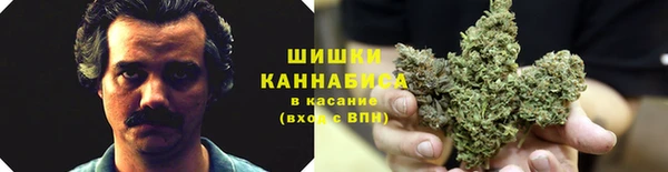 гидра Абаза