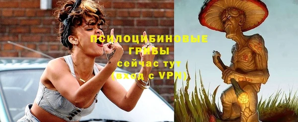 гидра Абаза