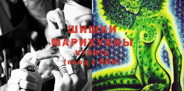 гидра Абаза