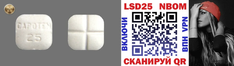 ссылка на мегу зеркало  Зубцов  LSD-25 экстази ecstasy 