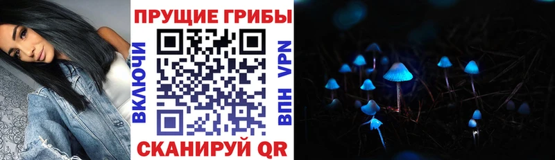Галлюциногенные грибы Cubensis  Зубцов 